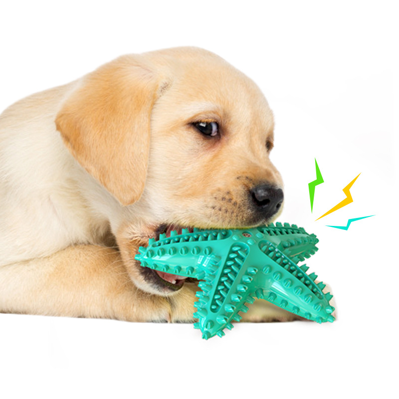 Pet DogToys  from mmcis china